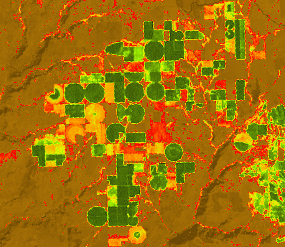 Exemple d'indice NDVI colorisé