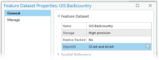 Valeur ObjectID 32-bit and 64-bit (32 bits et 64 bits) sur l’onglet General (Général) de la boîte de dialogue Feature Dataset Properties (Propriétés du jeu de classes d’entités).