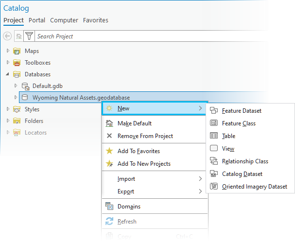 Dans la fenêtre Catalogue d’ArcGIS Pro, ce menu contextuel s’affiche lorsque vous cliquez avec le bouton droit sur une géodatabase existante.