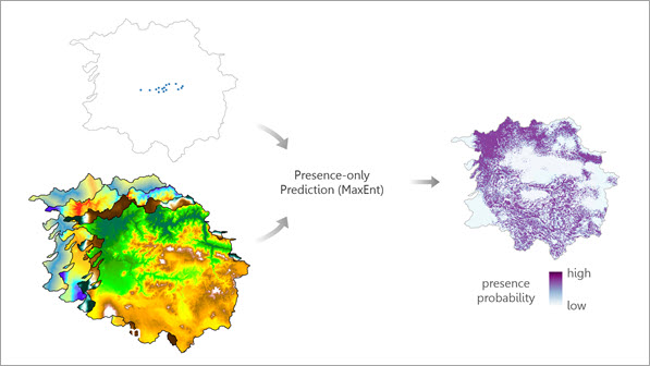 Illustration de l’outil Prévision de présence uniquement (MaxEnt)